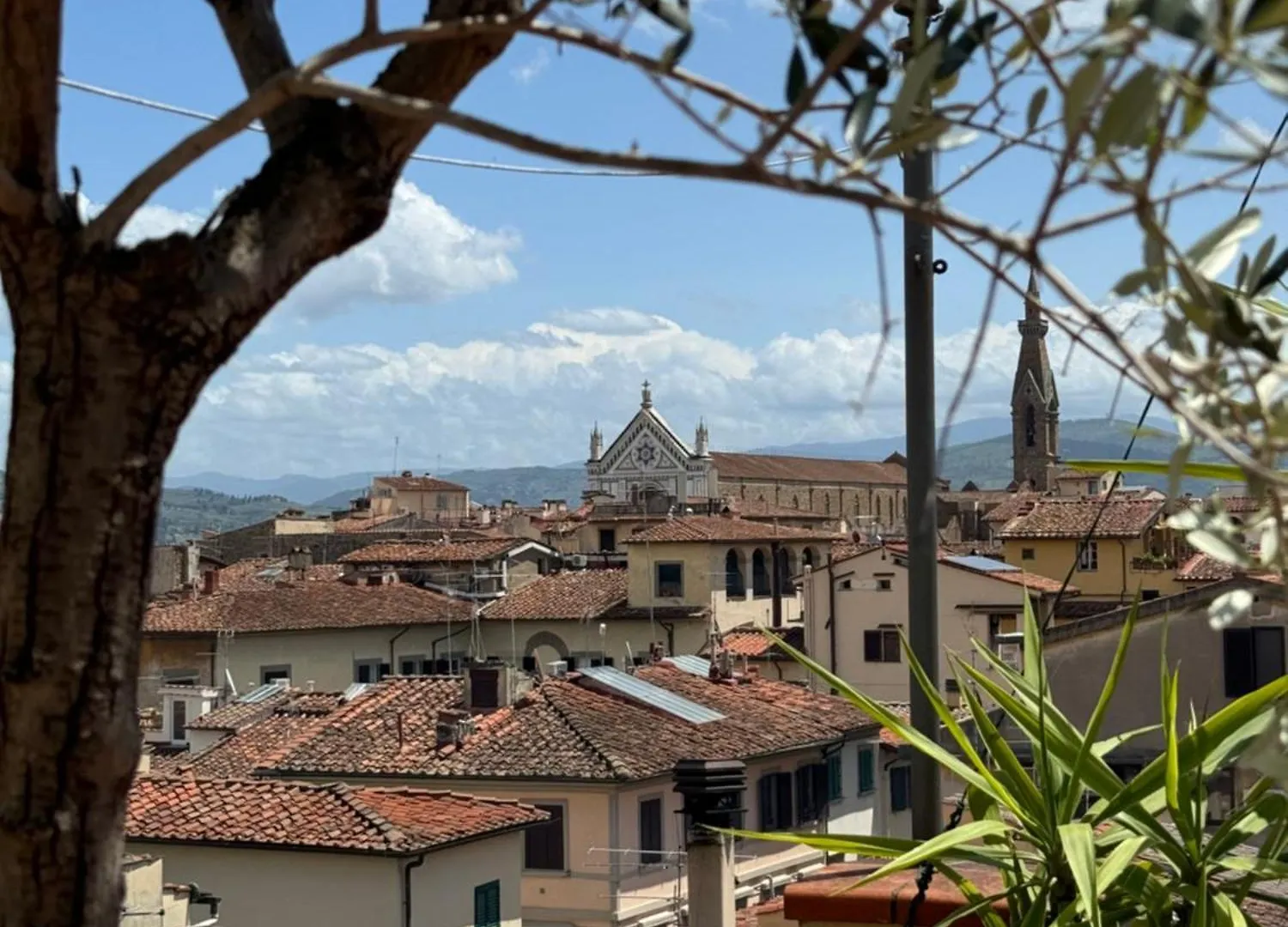 Firenze Panorama Suite & Terrace contacts