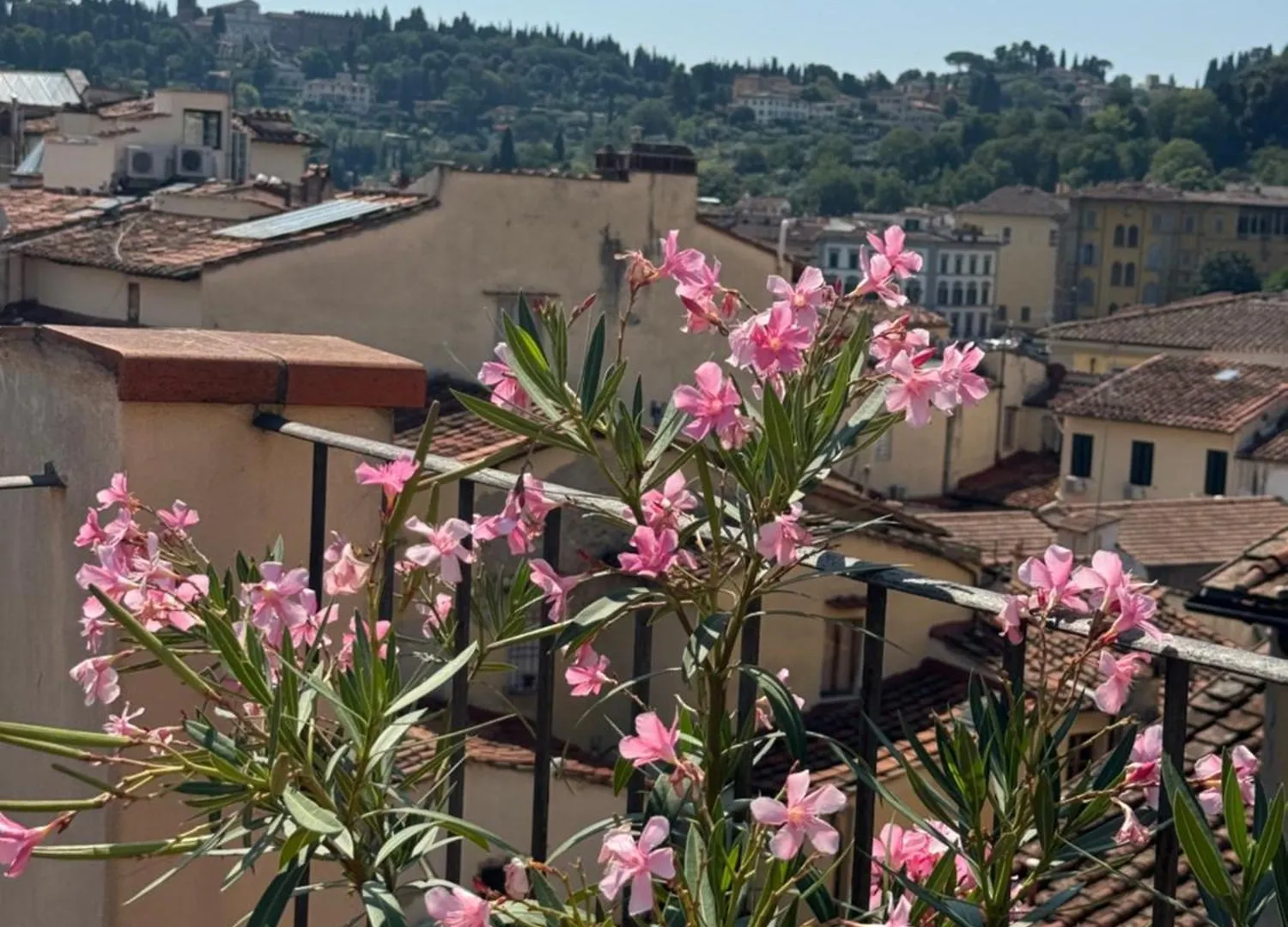 Firenze Panorama Suite & Terrace 0*, Florence